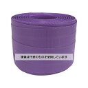 ユタカメイク 梱包用品 PPバンド 15.5mm×100m ムラサキ L-106 入数:1巻