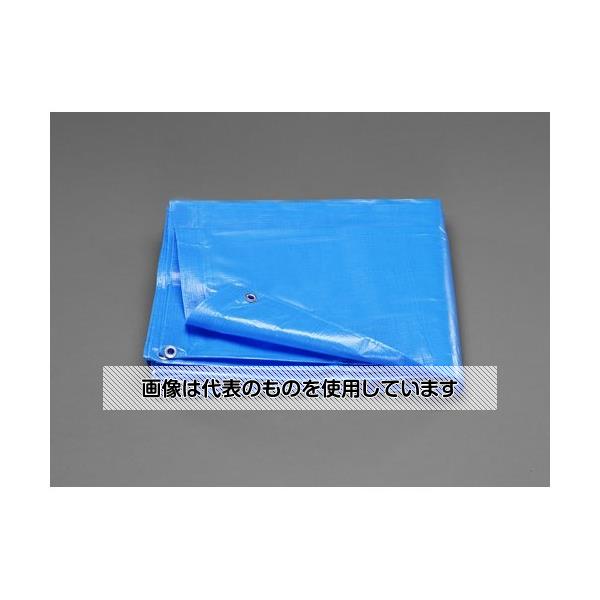 エスコ 3.6x5.4m/0.25mm ブルーシート(#3000) EA911AB-52 入数：1枚