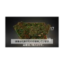 エスコ 620x1250mm/800匁 バスタオル(迷彩色) EA929HC-18 入数:1枚
