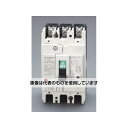 エスコ AC100-440V/ 50A/3極 漏電遮断器(フレーム60) EA940MN-35 入数:1個