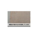 エスコ 300x1000mm/ 5.60mm目 織網(銅製) EA952BD-1 入数:1枚