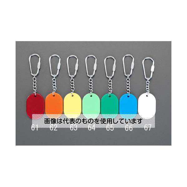 エスコ 30x45mm カラーキーホルダー(若草) EA956V-64 入数：1個