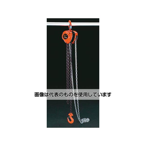 Thermometers - アズワン(AS ONE) 1.0tonx2.5m チェーンブロック EA987AC-1 入数：1台