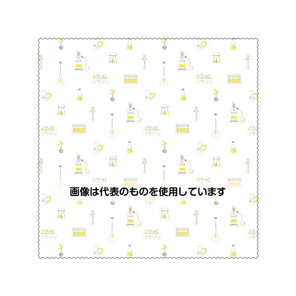 KBセーレン リカシツのガラス拭き 入数：1枚