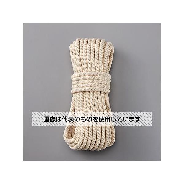 アズワン(AS ONE) 8.0mmx10m 綿ロープ(金剛・12打ち) EA628MJ-23 入数：1本