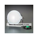 アズワン(AS ONE) AC100・200V兼用/300W 作業灯LED(コード5.0m) EA814DG-14 入数:1台