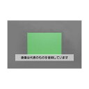 アズワン(AS ONE) 600x910x4mm プラダン(グリーン/5枚) EA911BD-56 入数:1箱(5枚入)