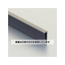 アズワン(AS ONE) 10mmx1.0m フレーム(S用/導電/4本) EA911BG-22 入数:1束(4本入)
