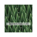 エスコ 600x 900mm 泥落しマット(細かい泥落し) EA997RX-101 入数:1枚