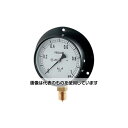 カクダイ 汎用圧力計(Bタイプ) 649-872-04F 入数:1個