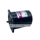 アズワン(AS ONE) AC200V・40W レバーシブルモーター(リード線タイプ) EA968CK-40 入数:1台