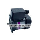 アズワン(AS ONE) AC200V・60W レバーシブルモーター(端子箱付タイプ) EA968CM-60 入数:1台