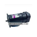 アズワン(AS ONE) AC200V・90W 電磁ブレーキ付モーター(リード線タイプ) EA968CP-90 入数:1台