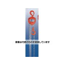 アズワン(AS ONE) 0.25tonx8.0m チェーンブロック EA987CF-8 入数:1台