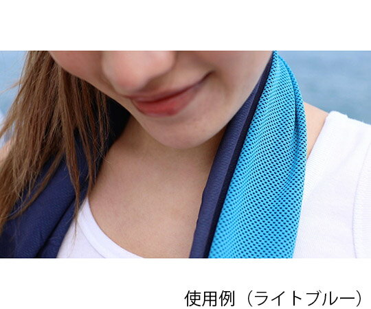 K��ǥ�����ˡ��� �����ѡ��Ҥ��ꥯ���륿����K �Х顼��å� 2���� K-010 ������1Ȣ(2����)