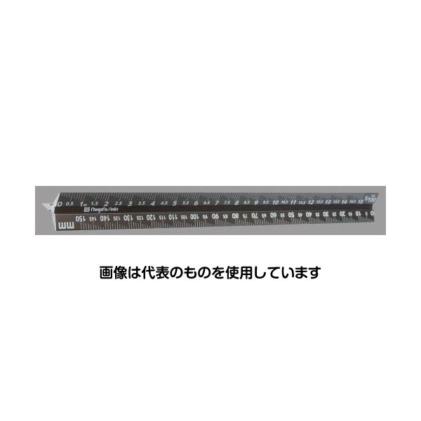 エスコ 160mm 三角スケール(一般用) EA762AC-21 入数:1個