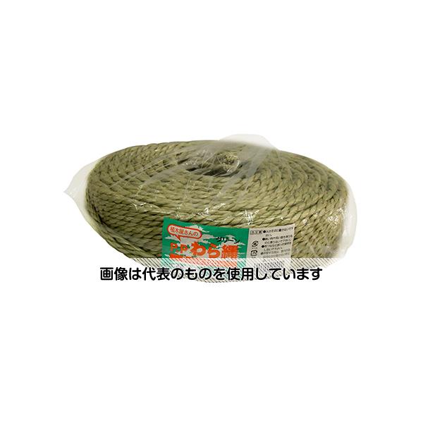 宮島化学工業 PPわら縄 グリーン 6mm×120m GG060 入数：1巻