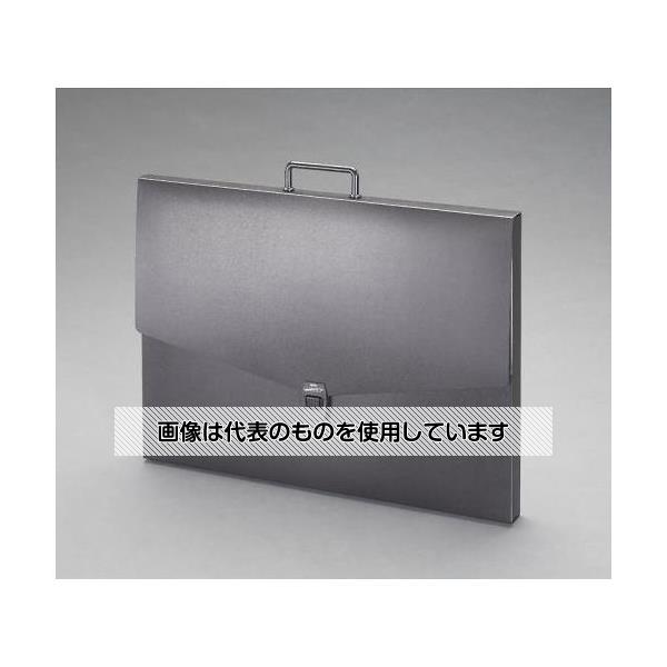 エスコ 四つ切/420x570mm デザインケース EA762CF-254 入数：1冊