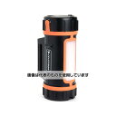 セレストロン Power Tank Lithium 36066 入数：1個