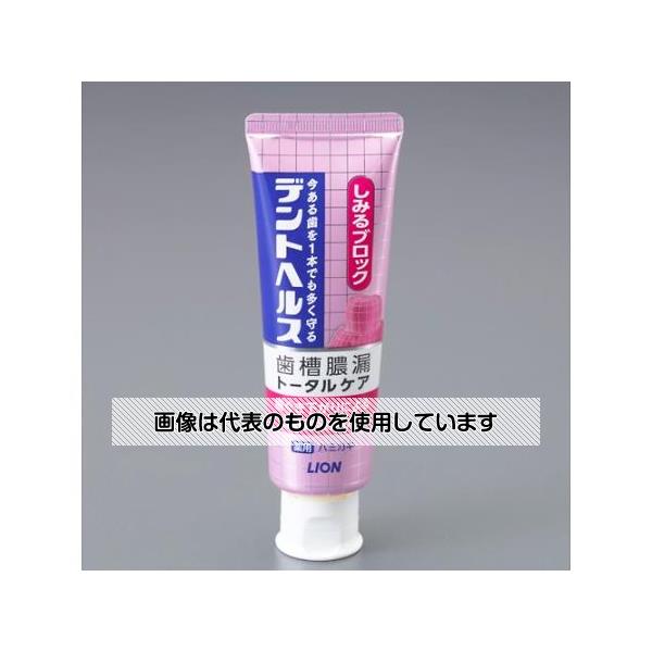 アズワン(AS ONE) 85g ハミガキ(デントヘルス ハーブティーミント) EA922KR-141 入数：1本