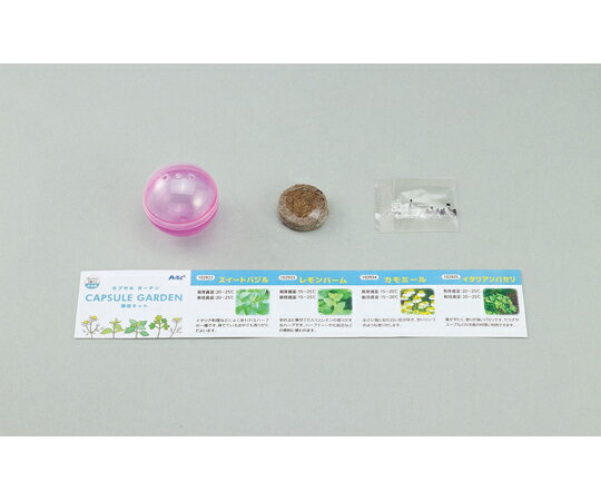 アーテック カプセルガーデン スイートバジル 102922 入数:1個 [2]