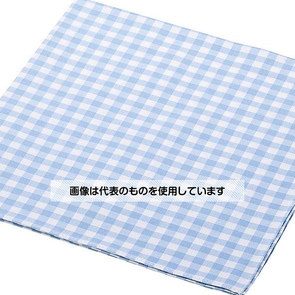 遠藤商事 ギンガムナフキン スカイブルー WNP0602 入数：1個