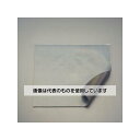 エスコ 300x 300x3.25mm ゴムスポンジ(PEフィルム付) EA997RC-201 入数:1枚
