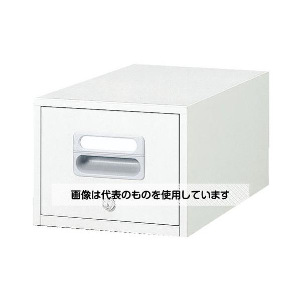 エスコ 289x510x227mm(A5) キャビネット(卓上型) EA954DC-36A 入数：1台