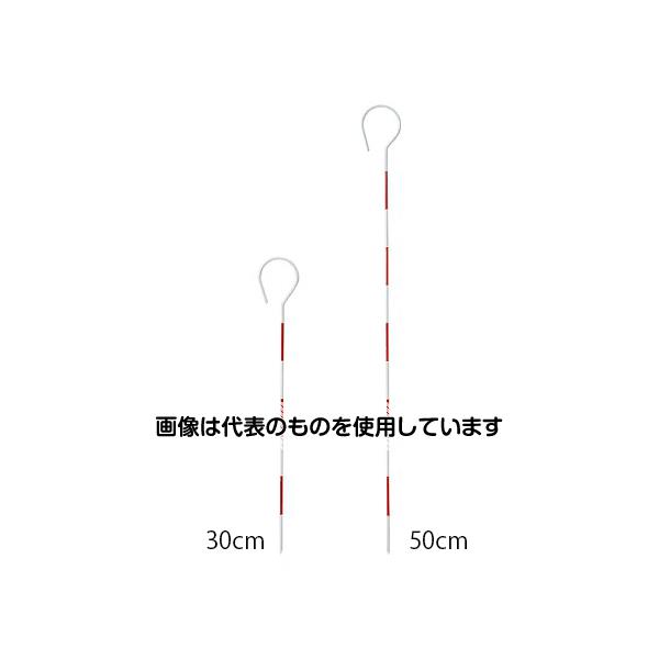 ハイビスカス ハイビスカス トラバーピン 30cm HTP-30 1本