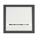 エスコ 500x500mm 虫よけ粘着シート EA941B-101 入数:1枚