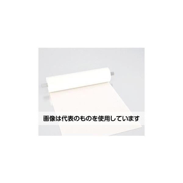 Thermometers - エスコ [EA997PS-25用] 替フィルター EA997PS-35 入数：1巻
