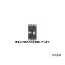 テンパール工業 配線用遮断器 B-103EC 100A 入数:1個