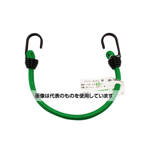 ͧ Х󥸡ݥ  10mm30cm HR-1606 1