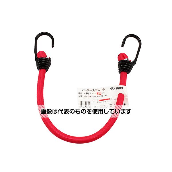 ͧ Х󥸡ݥ  10mm30cm HR-1609 1