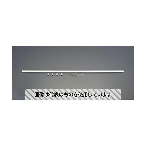 エスコ 1000mm ピクチャーレール EA951FT-2