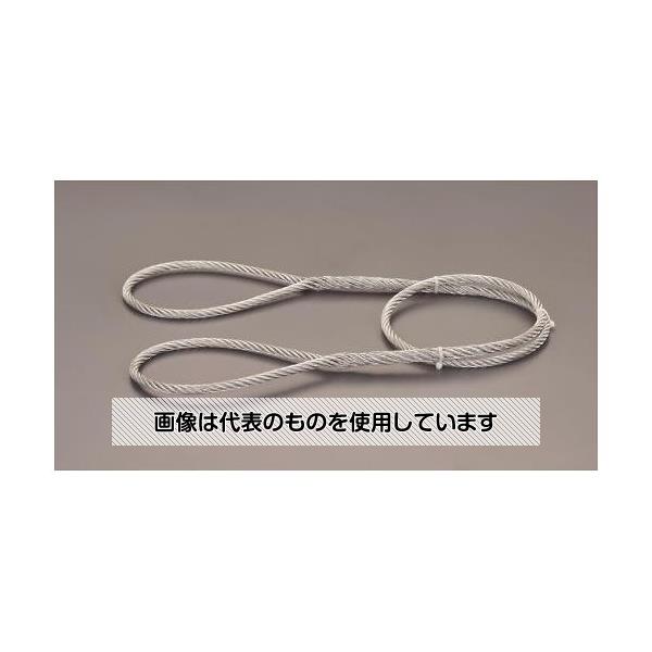 【アズワン AS ONE】実験室設備 工具類 工具、道具 ●ロック(クランプ管)が無い為、吊り荷の下から引き抜く作業が容易です。 商品の仕様 ●型番：ZT6mm×1.5m ●ロープ径(φmm)：6 ●全長(m)：1.5 ●重量(kg)：0.24 ●破断荷重：1.66t ●玉大(mm)：160 ●JIS規格：6×19 ●トゲ無し「バーブフリー加工」 ●トゲが無い為、取扱い時の危険度が極度に減少 ●吊荷にキズがつきにくい 【※ご注意ください】商品は代表の画像を使用しています。