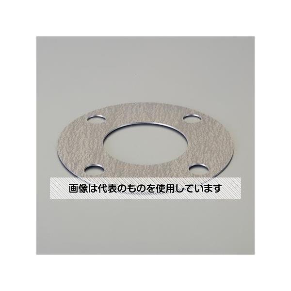 Thermometers - アズワン(AS ONE) 15A/3.0mm 全面フランジパッキン(高温用/10K) EA351GW-15 入数：1枚