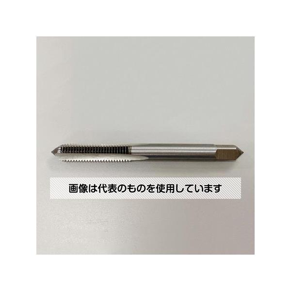 アズワン(AS ONE) M5.5x 0.9 ハンドタップ(SKS2/仕上) EA829DB-5.5 入数：1本