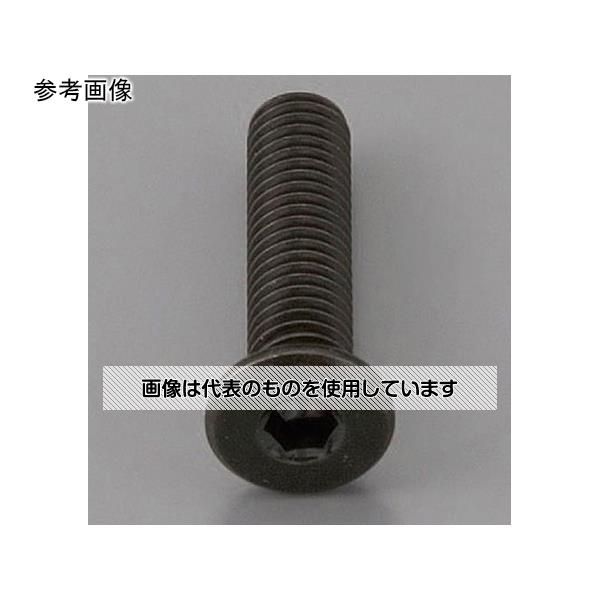 エスコ M10x30mm 六角穴付ボルト(超低頭/クロメート/2本) EA949MG-1030A 入数：1袋(2本入)