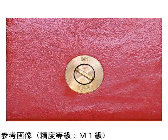 トラスコ中山 M1級 鋳鉄製枕型分銅 10kg M1RW-10KG 入数：1個