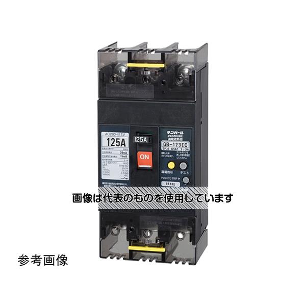 テンパール工業 漏電遮断器 100A W2 200-415V 123EC10W24 入数：1個