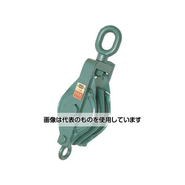 アズワン(AS ONE) 100mm 強力型滑車(2車・オーフ) EA987HH-100B 入数：1個