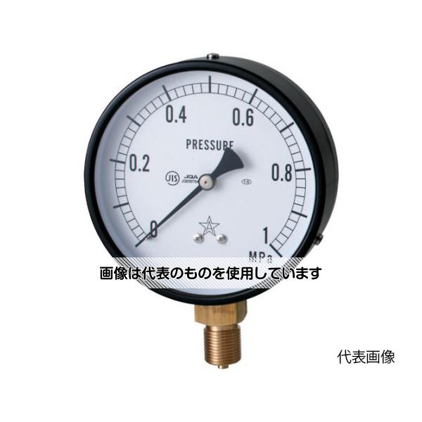 右下精器製造 圧力計 AVT3/8×75×6MPa G311-211-V-6MPA 入数：1個