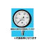 旭計器 密閉形圧力計 A形 蒸気用耐振形 圧力範囲(MPA)：0～2 315-A781X2MPA-MV 入数：1個