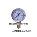 第一計器製作所 KOT小型圧力計 A型 φ50 R1/4 0~0.7MPA ATR1/4-50:0.7MPA 入数:1個(4)