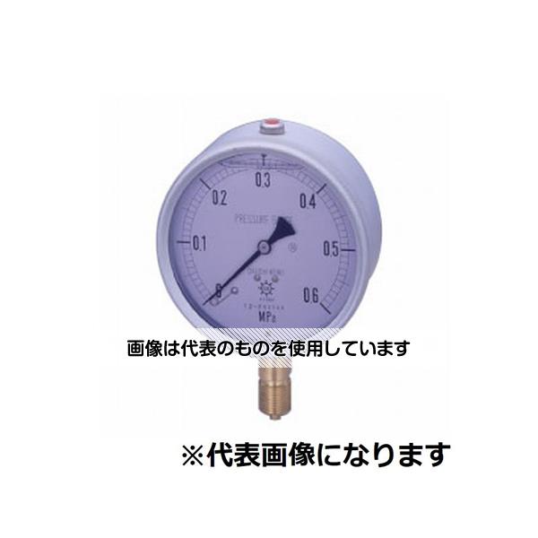 第一計器製作所 GRKグリセリン入圧力計 A型 φ100 G1/2 0～5MPA G-AU1/2-100:5MPA 入数：1個