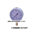 第一計器製作所 GRKグリセリン入圧力計 A型 φ100 G1/2 0~2.5MPA G-AU1/2-100:2.5MPA 入数:1個(4)