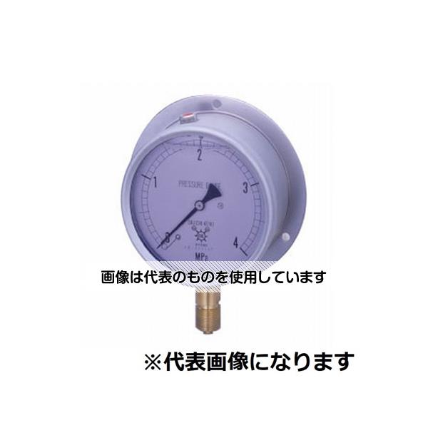 第一計器製作所 GRKグリセリン入連成計 B型 φ100 G1/2 -0.1～0.6MPA G-BU1/2-100:0.6/-0.1MPA 入数：1個 1