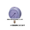 第一計器製作所 GRKグリセリン入圧力計 B型 φ100 R1/2 0～0.1MPA G-BUR1/2-100:0.1MPA 入数：1個