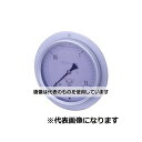 第一計器製作所 GRKグリセリン入圧力計 D型 φ75 R3/8 0~60MPA G-DUR3/8-75:60MPA 入数:1個(4)